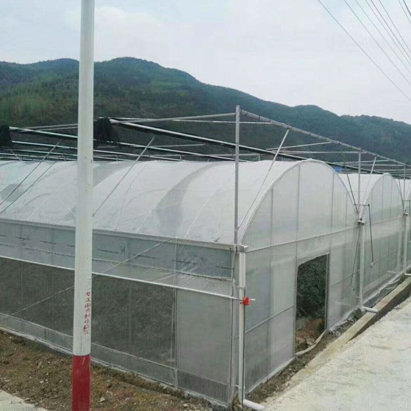 連城外遮陽連棟大棚