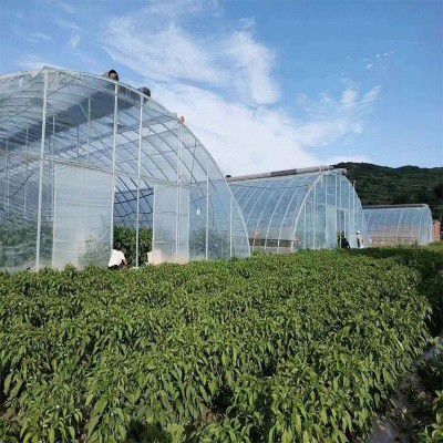 連城溫室大棚