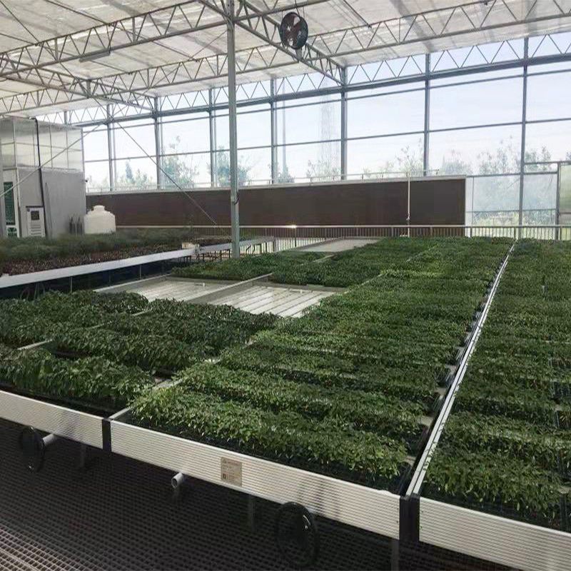 連城蔬菜大棚