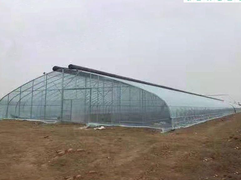 連城橢圓管大棚