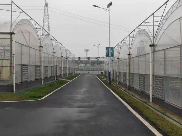 連城連棟溫室大棚