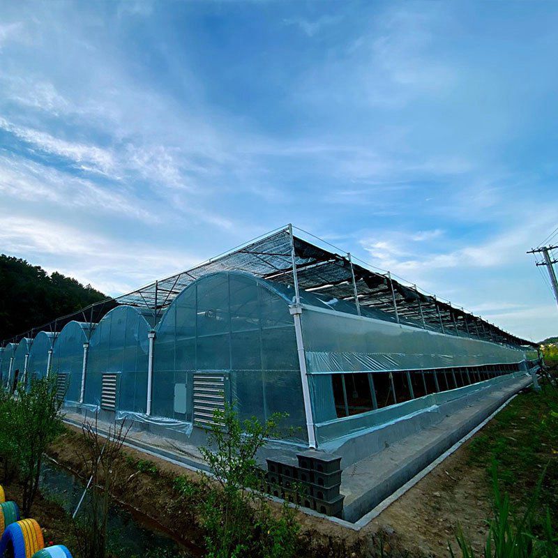 連城溫室工程