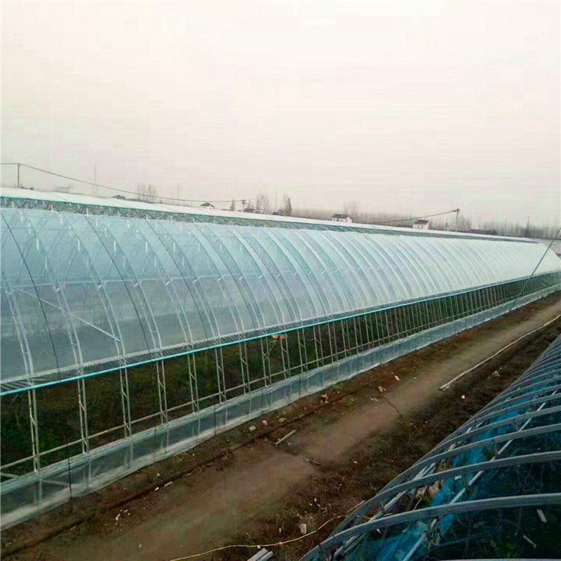 連城蔬菜大棚