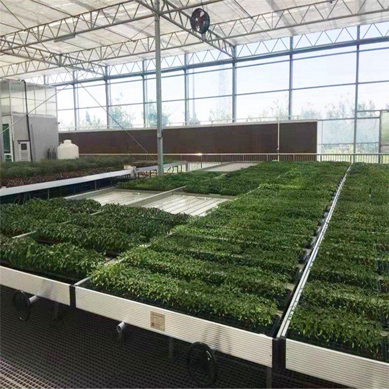 連城蔬菜大棚