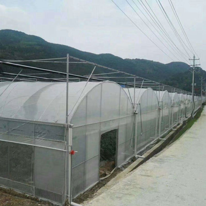 連城外遮陽連棟大棚