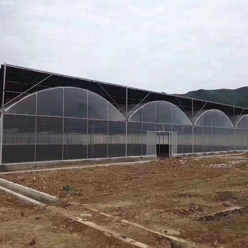連城外遮陽連棟大棚